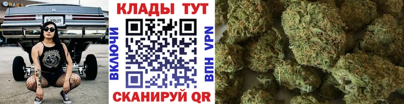 Наркотические вещества Грязовец Галлюциногенные грибы  APVP  Меф  ТГК  Гашиш  Марихуана  MEGA ТОР  МЕТАМФЕТАМИН 