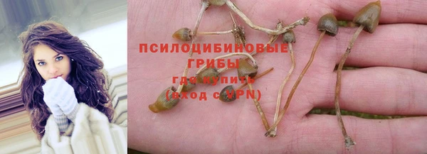 ECSTASY Алексин