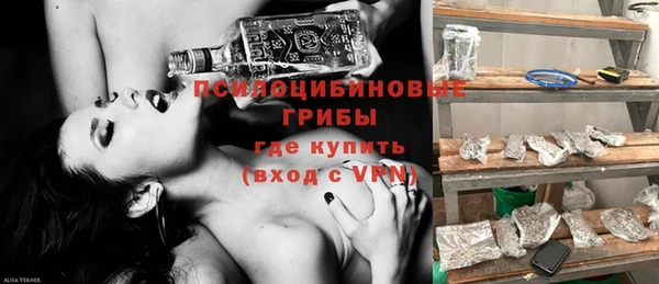 ECSTASY Алексин