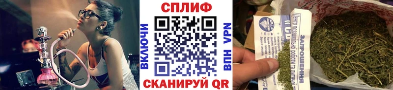 МАРИХУАНА планчик  Грязовец 